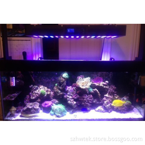 Bestseller Intelligent Control 80X3w Reef Aquarium LED Saltwater Tank Lighting